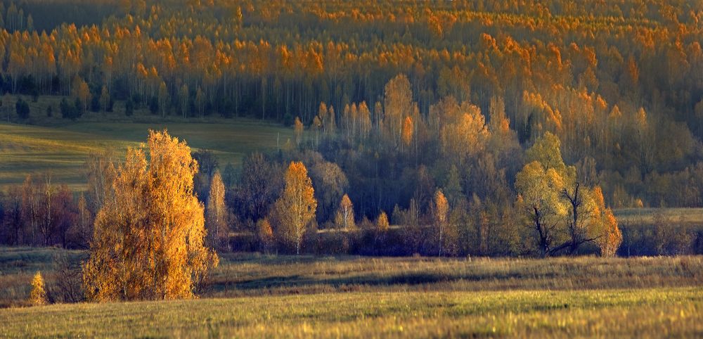 Photograph by Ольга Заболотская