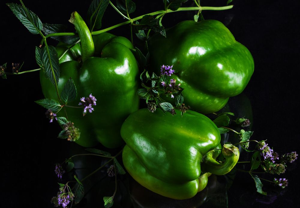 Photograph by Елена Хвойнова