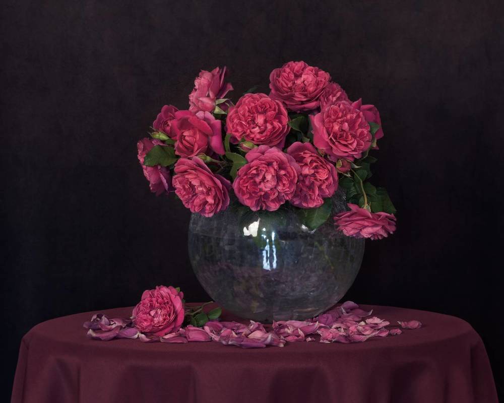 Her Majesty English Rose