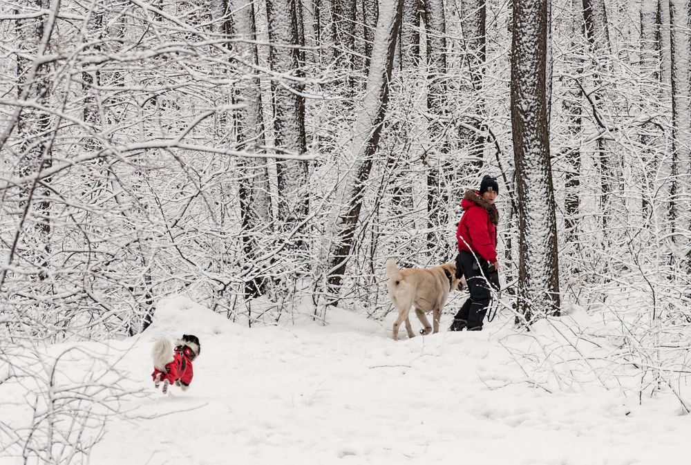 Photograph by Олег Тыркин