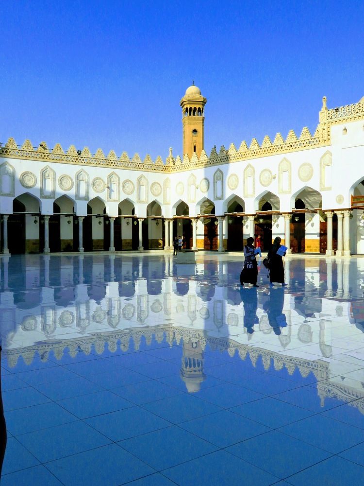 Фотография автора Adel elqamhawi Mohamed