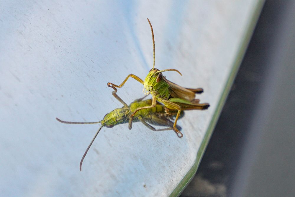 Photograph by Алфия Бугакова