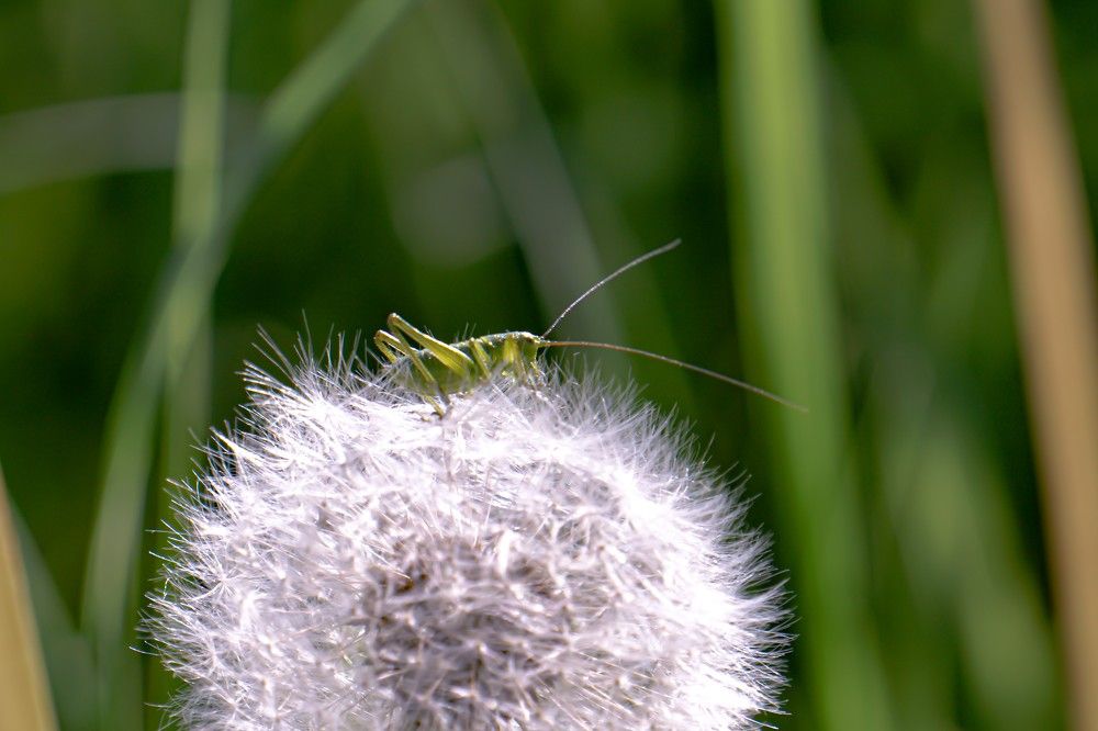 Photograph by Алфия Бугакова