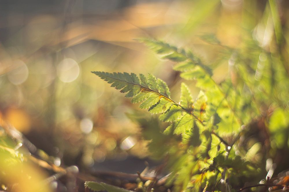 Photograph by Екатерина Мартынова