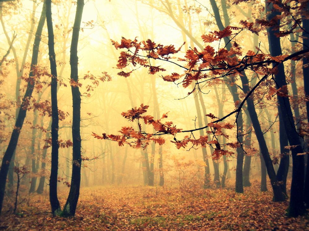 Photograph by Ави Христова