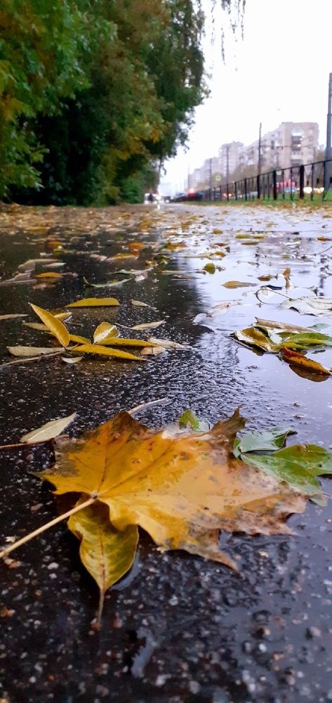 Photograph by Евгения Ульянова