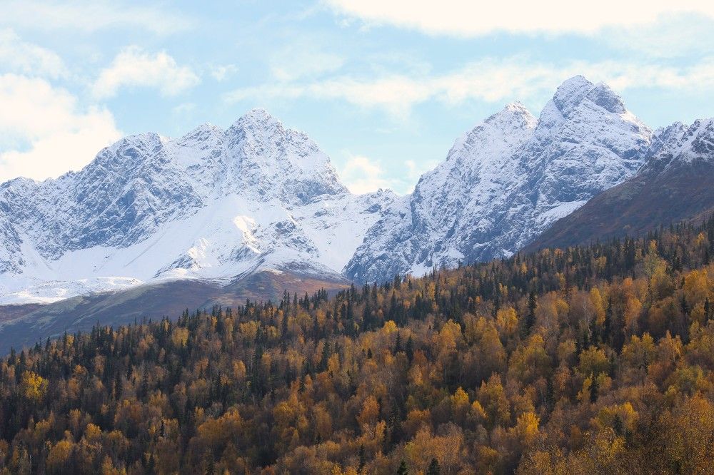 Photograph by Jared Solberg