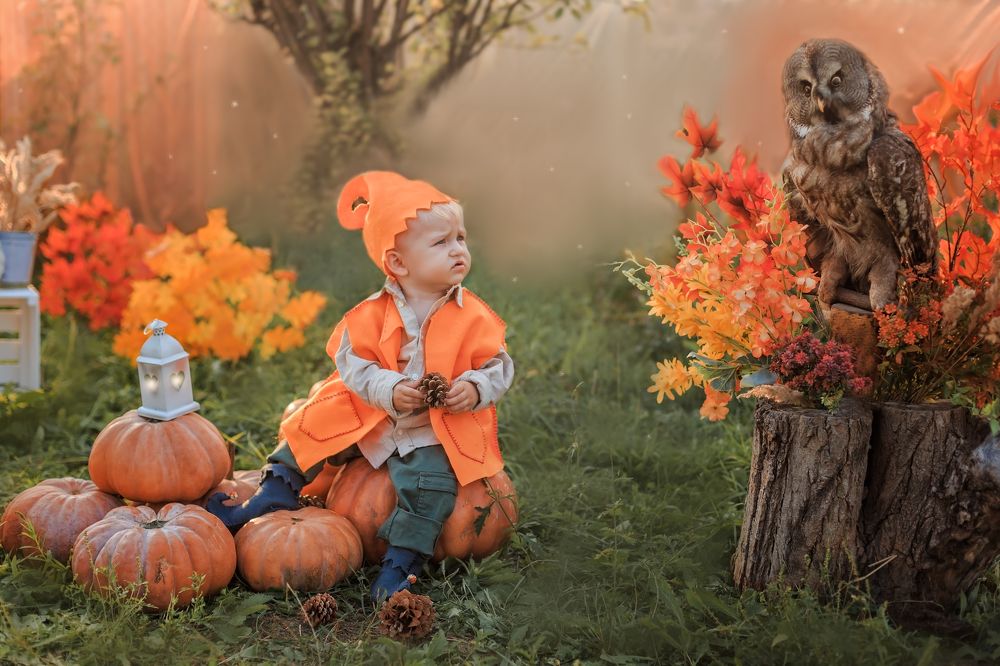 Осенний гном.