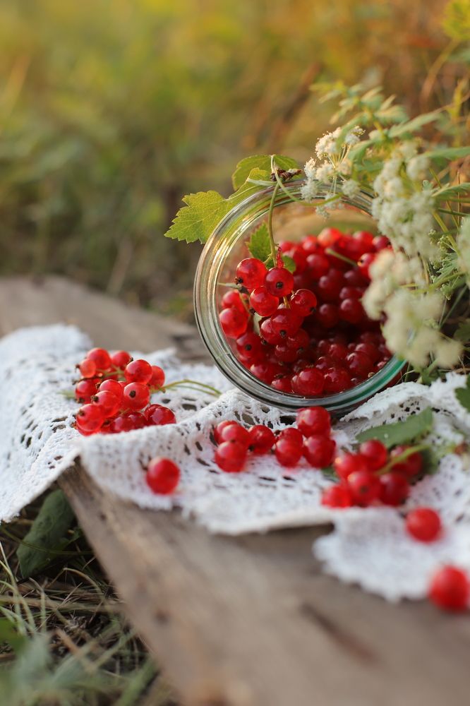 Photograph by Татьяна Белевцова