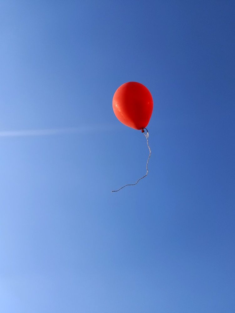 Photograph by Elena Novikova