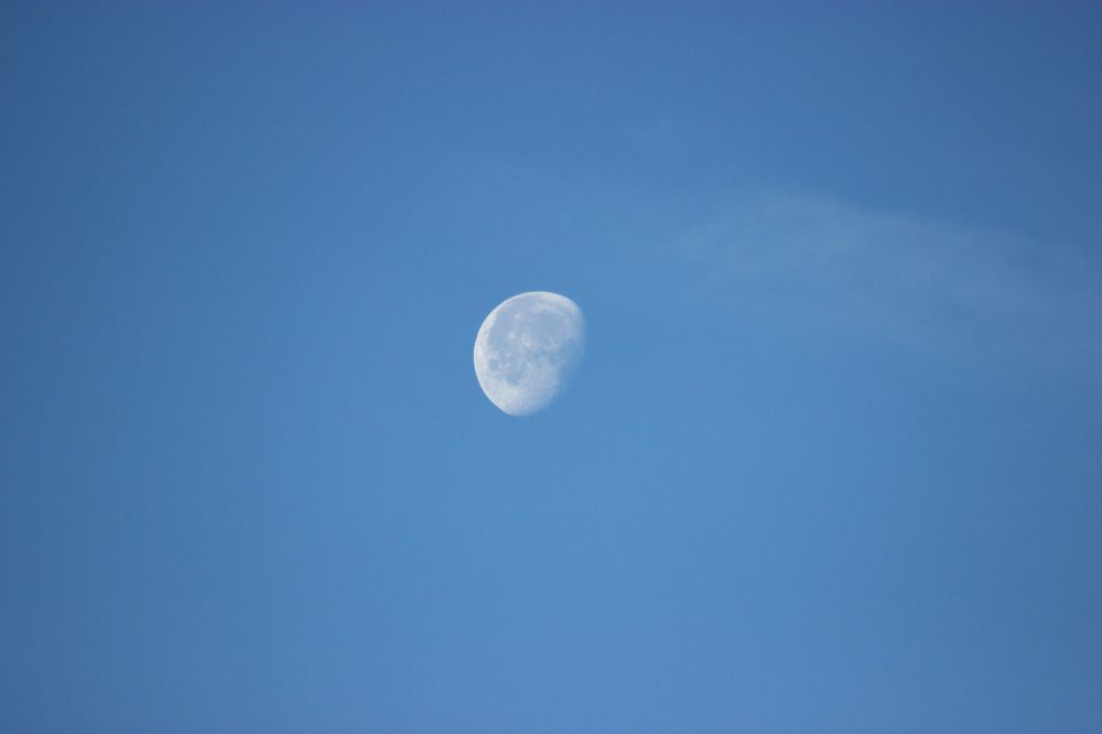 Photograph by Виктория Браун