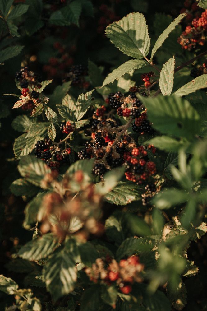 Photograph by Елена Фомичева