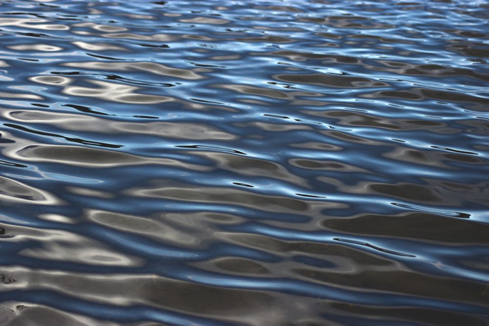 Photograph by Виктория Браун