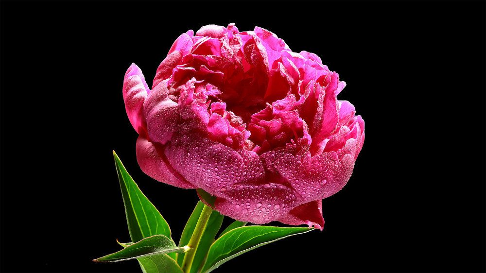 Photograph by Мороз Иван