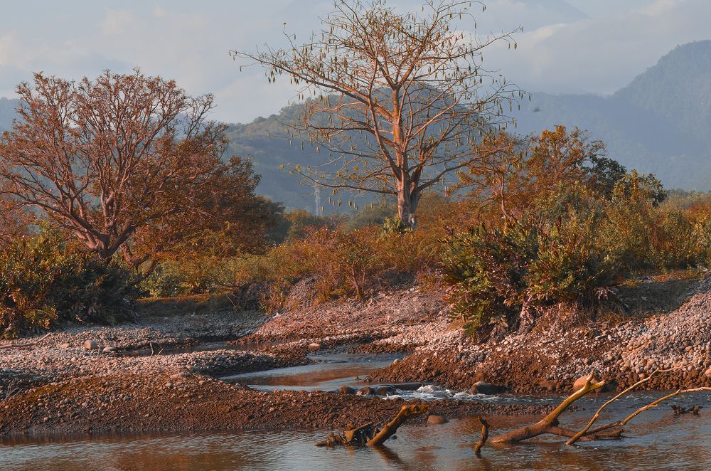 Photograph by dewa putra