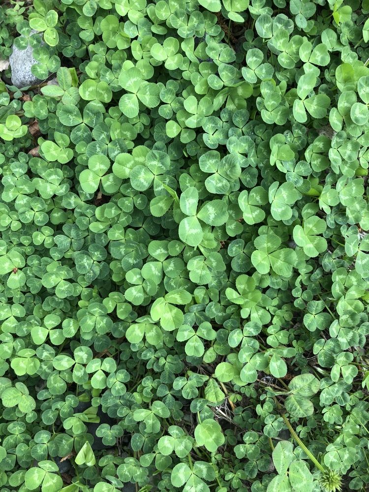 Photograph by Яна Бойко