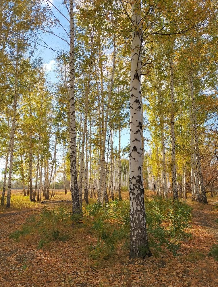 Photograph by Татьяна Герасименко
