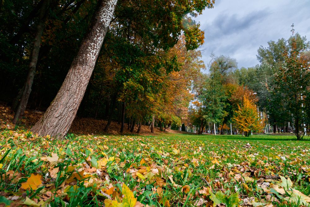 Photograph by Дмитрий Тимин