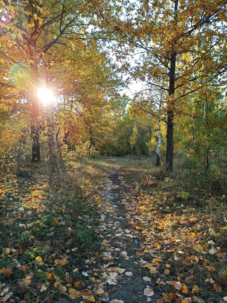 Photograph by Вера Родионова