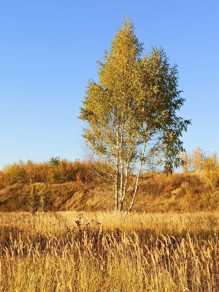 Photograph by Вера Родионова