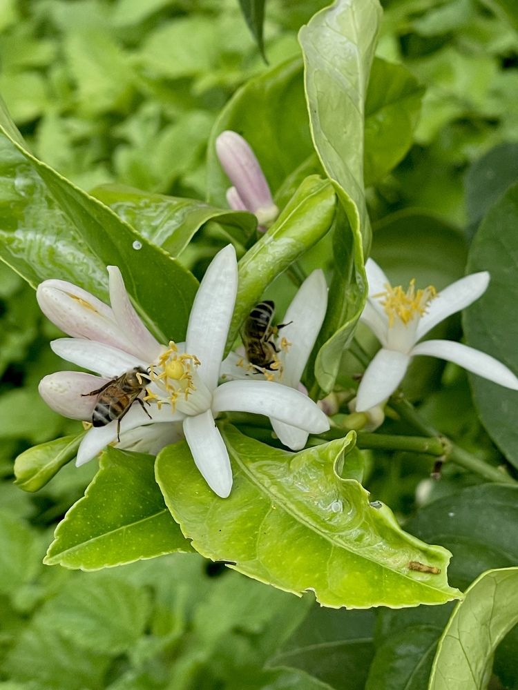 Фотография автора kozheka