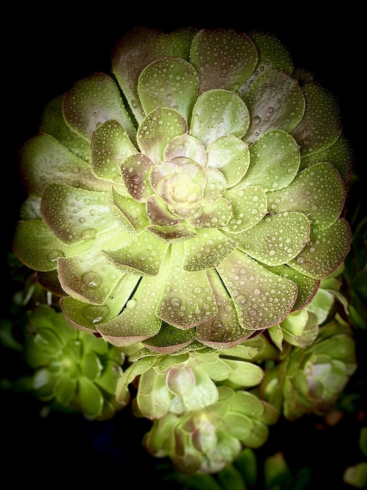 Фотография автора kozheka