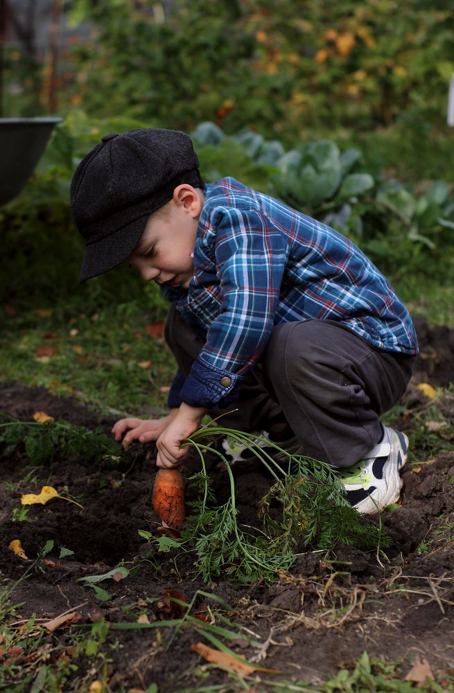 Photograph by Полина Ефимова