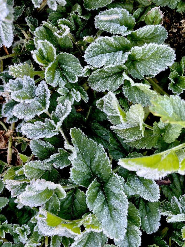 Фотография автора kozheka