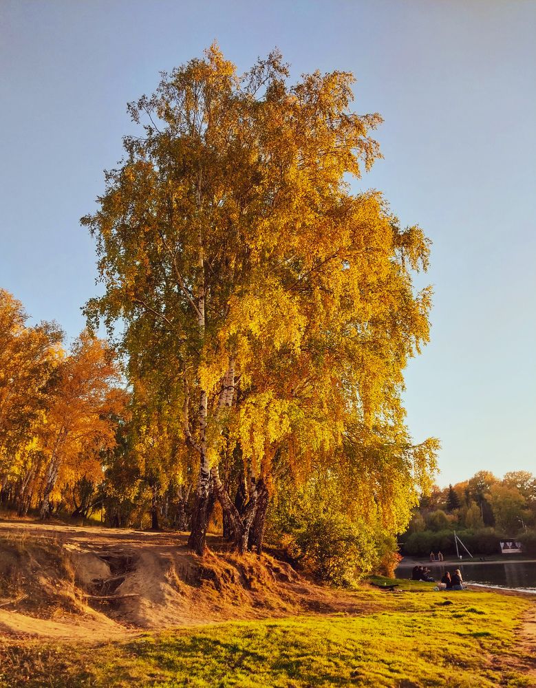 Photograph by Anna Solomina