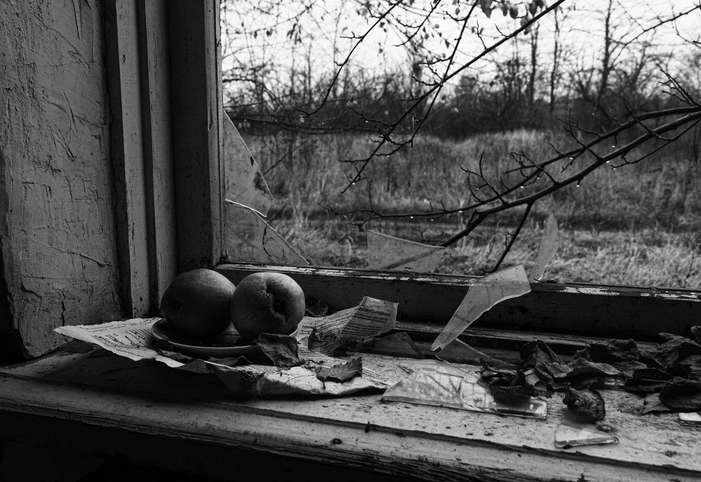 Photograph by Владислав