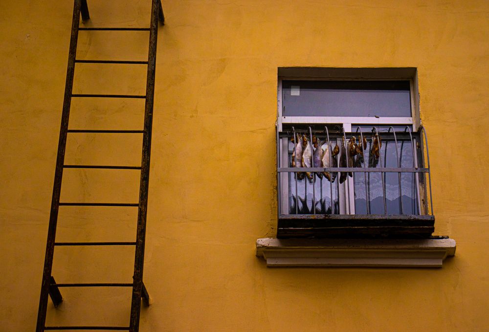 Photograph by Владислав