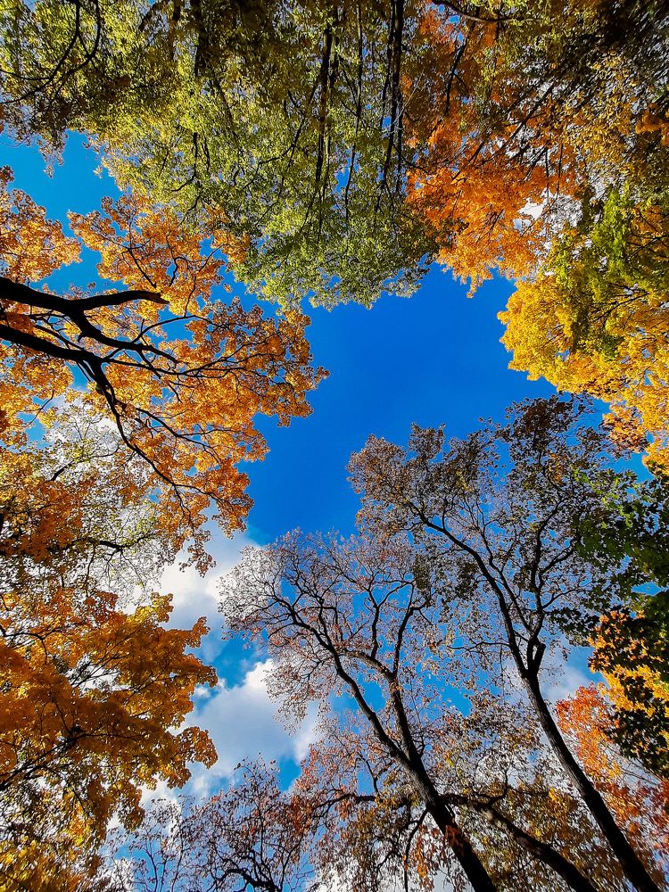 Photograph by Татьяна Тимофеева