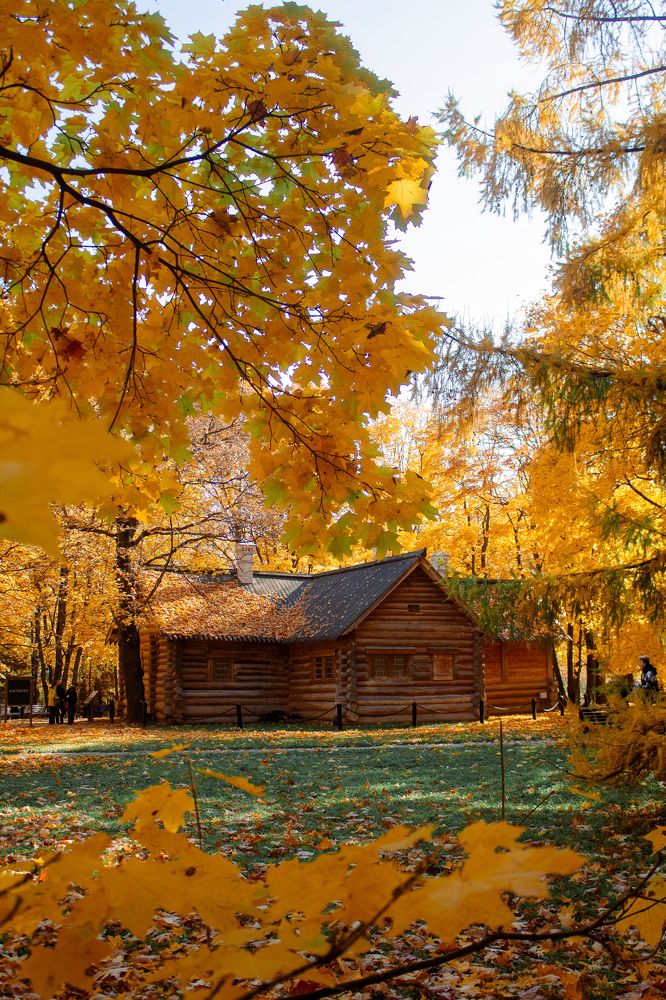 Photograph by Татьяна Тимофеева