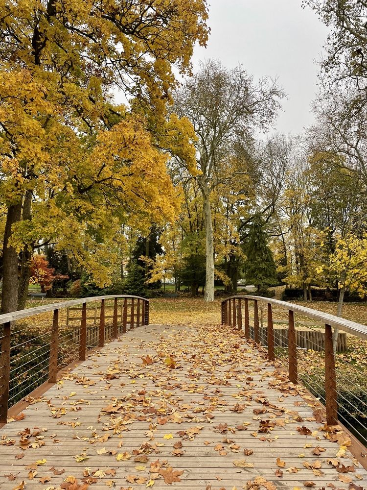 Фотография автора kozheka