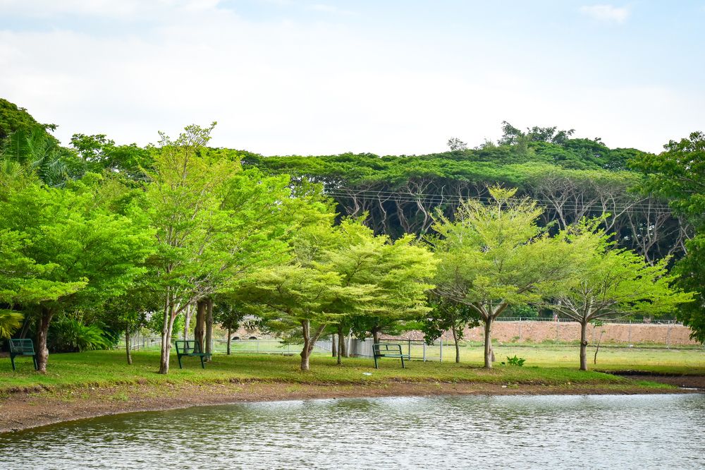 Photograph by Yannah Tekwie