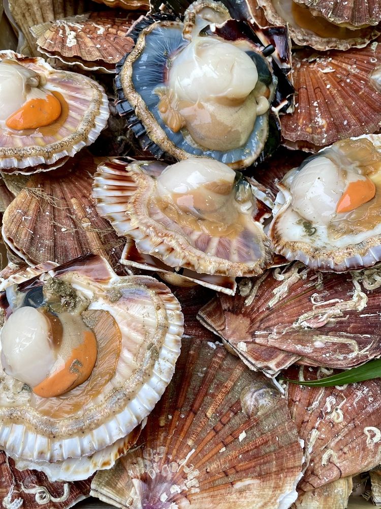 Фотография автора kozheka