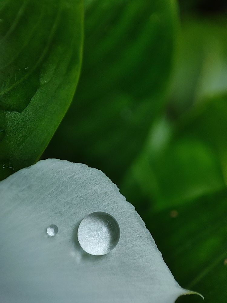 Every drop is important