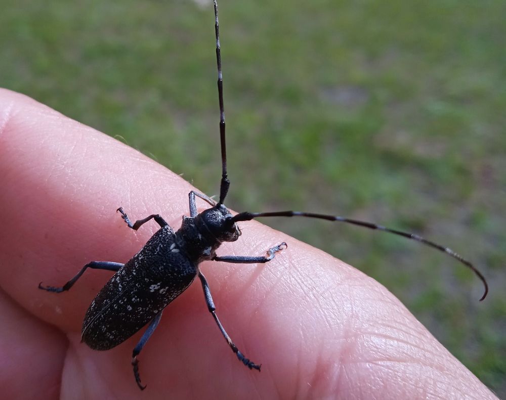 Photograph by Наталья Сорокина