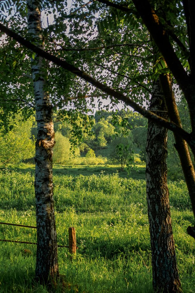 Photograph by Татьяна Тимофеева