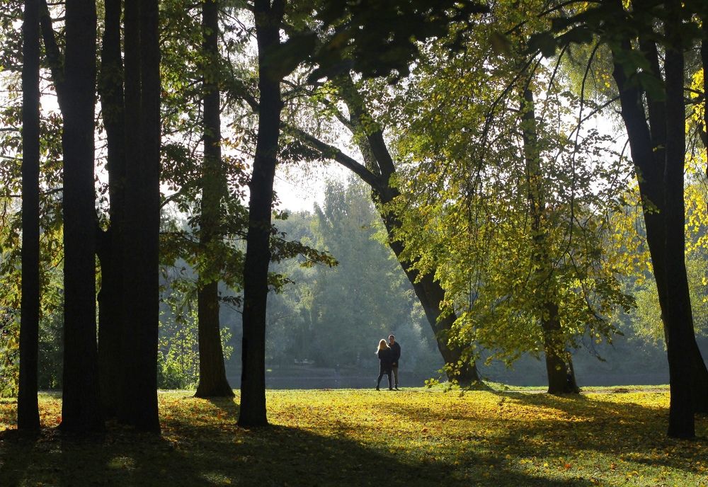 Photograph by Михаил Гордий