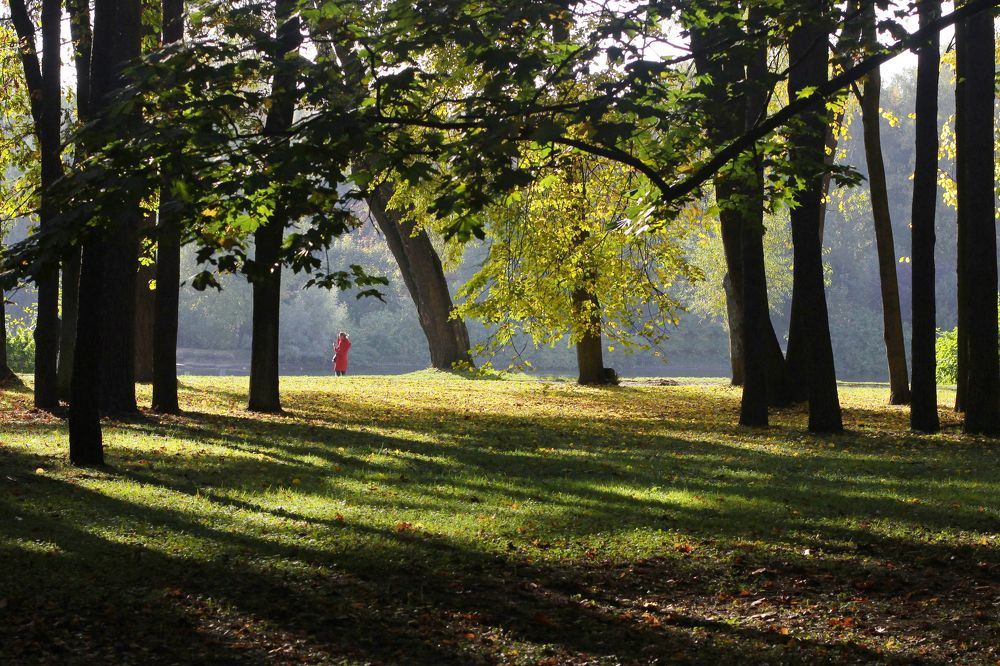 Photograph by Михаил Гордий