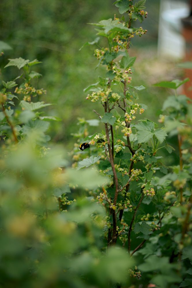 Photograph by Татьяна Тимофеева