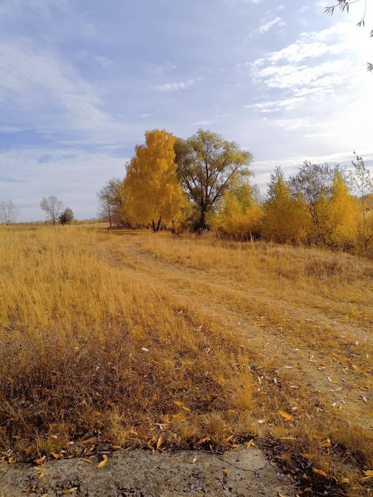 Photograph by Анна