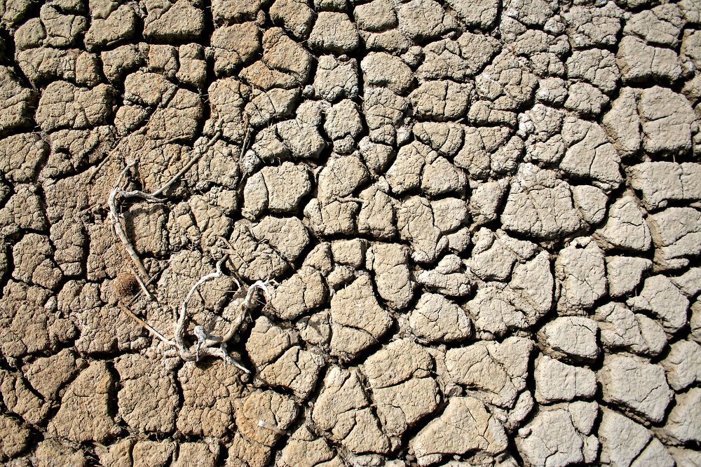 Photograph by Claudio Bonaccorsi