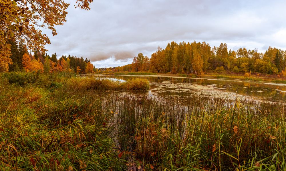 Photograph by Артем Ивлев