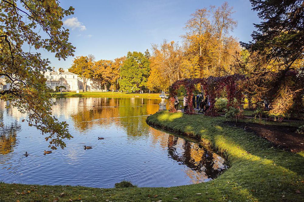 Photograph by Елена Виноградова