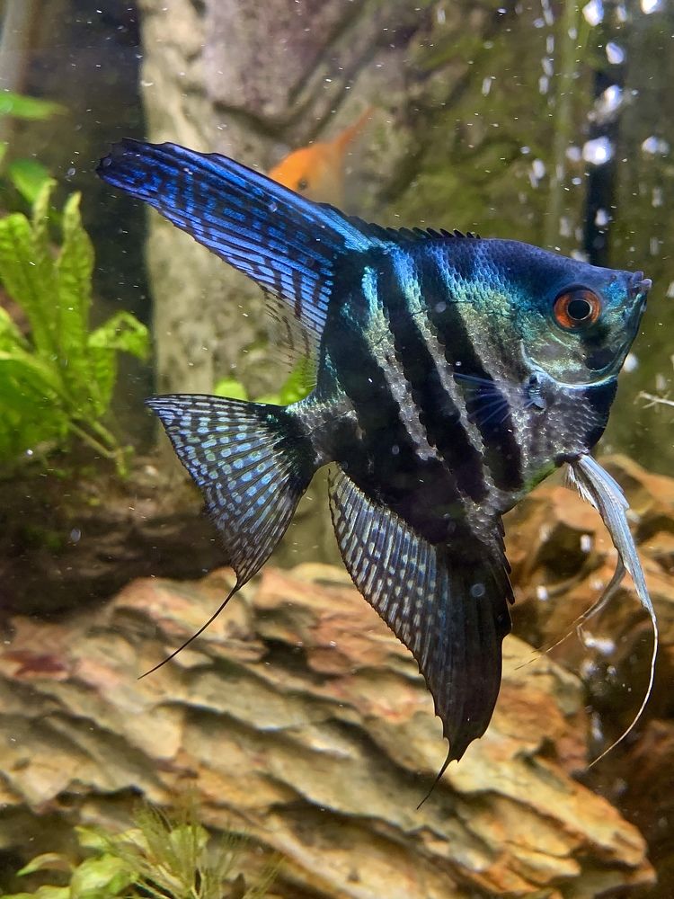 Photograph by Елена Макуха