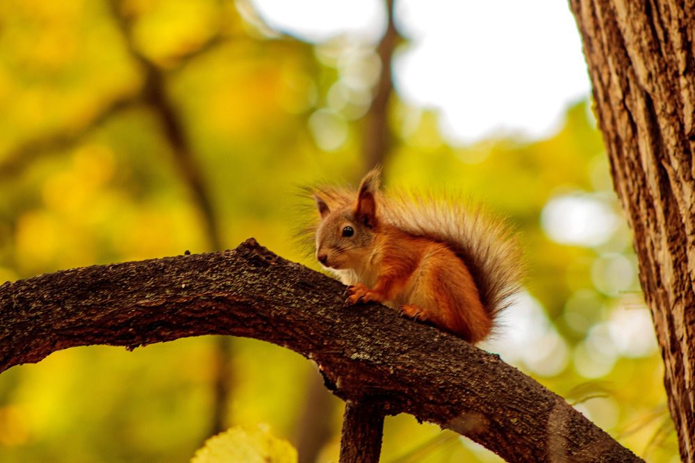 Photograph by Александр Авдеев