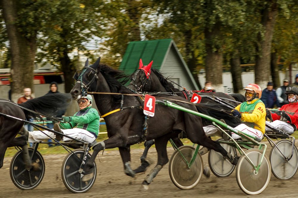 Photograph by Александр Авдеев