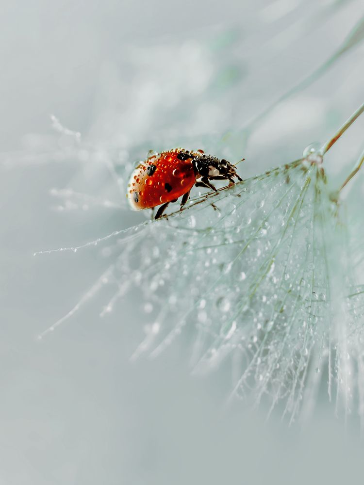 Photograph by Ольга Цветкова